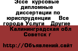 Эссе, курсовые, дипломные, диссертации по юриспруденции! - Все города Услуги » Другие   . Калининградская обл.,Советск г.